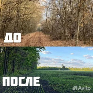    в Владимире