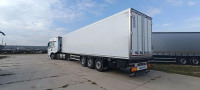 Mayer Cargoline 972200