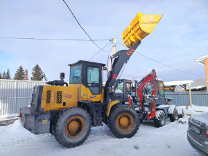 Другая Leiyu ZL30