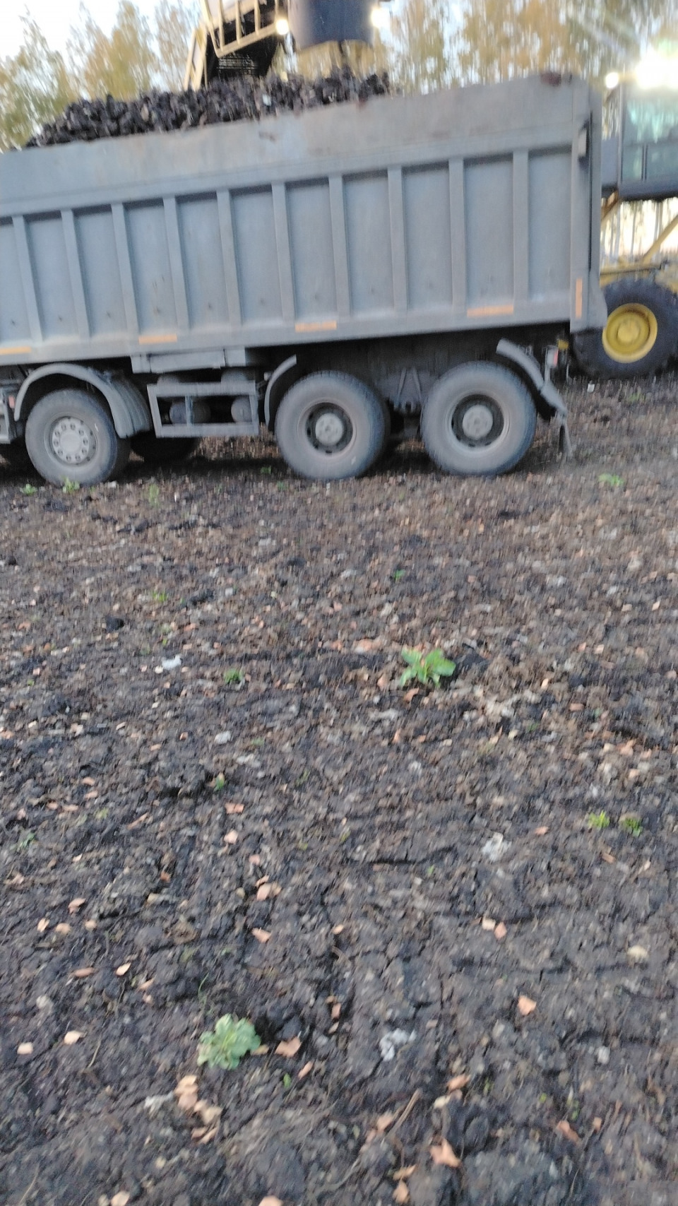 SCANIA Р380  2012 года, 32 т